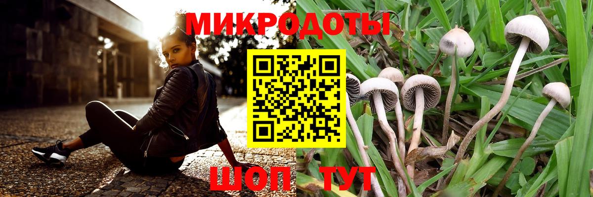 Псилоцибиновые грибы Psilocybe  где купить наркоту  Псилоцибиновые грибы Psilocybe  Чапаевск  Вход с VPN 